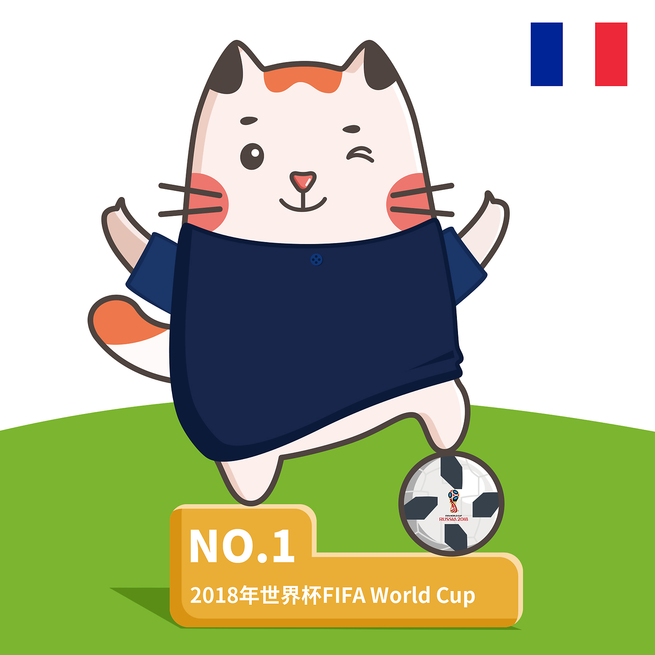 种普遍